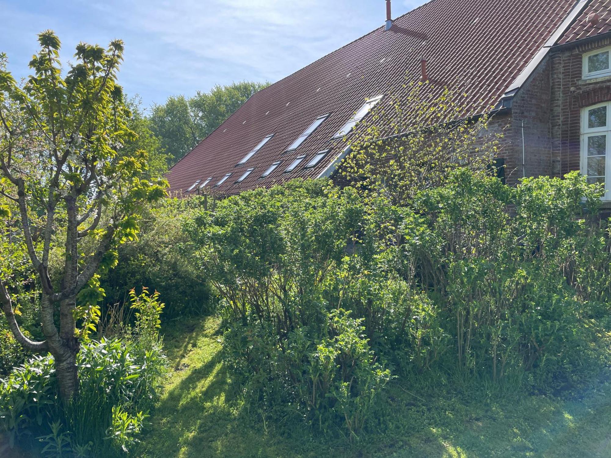 Ferienhof Spiegelhaus Krummhoern Exterior photo